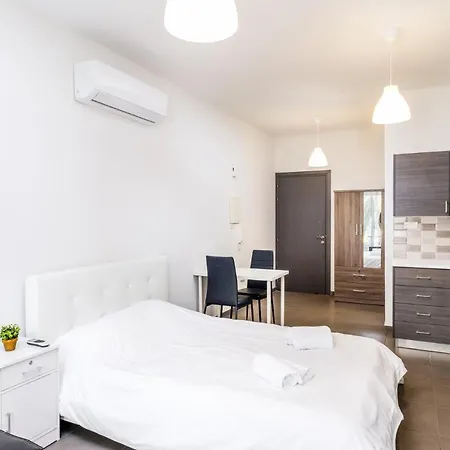 Spacious Studio Downtown Apartment *
